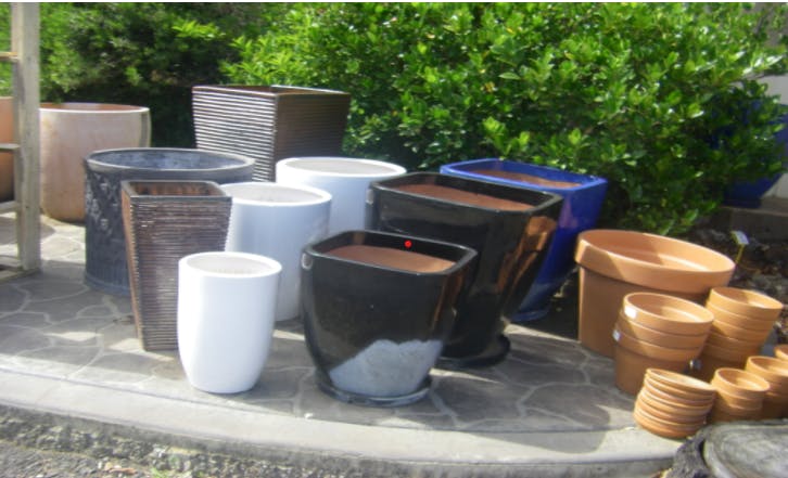 Logo of Greenwattle Street Nursery & Landscaping Supplies