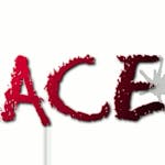 Logo of Ace Engineering