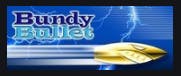 Logo of Bundy Bullet Pty Ltd