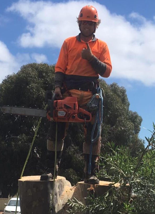 Logo of Coastal Tree Surgery