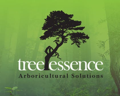 Logo of Tree Essence