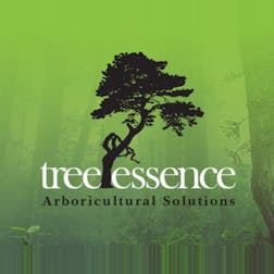 Logo of Tree Essence