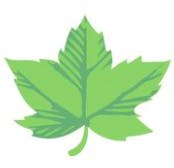 Logo of Frontier Tree Services