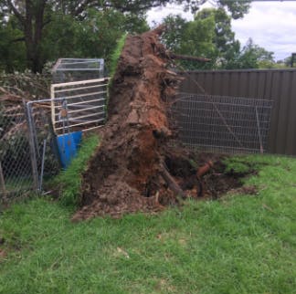 Logo of Coast Wide Stump Grinding & Tree Services