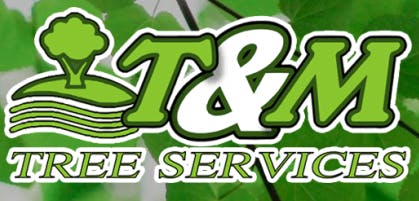 Logo of T & M Tree Services