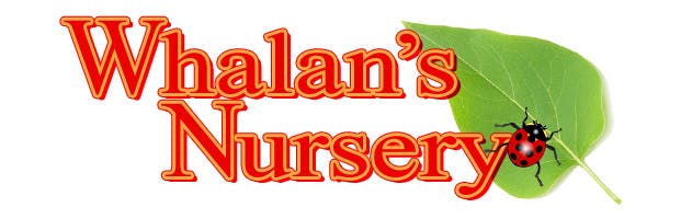 Logo of S&D Whalan's Pty Ltd