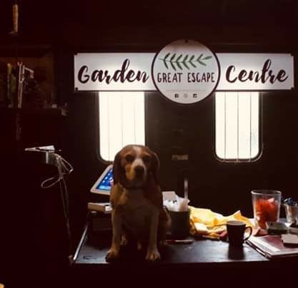 Logo of Great Escape Garden Centre