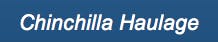 Logo of Chinchilla Haulage