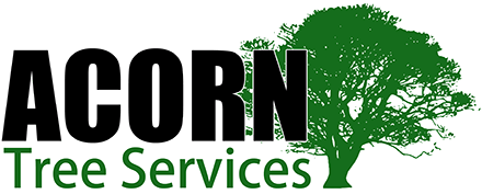 Logo of Acorn Tree Services
