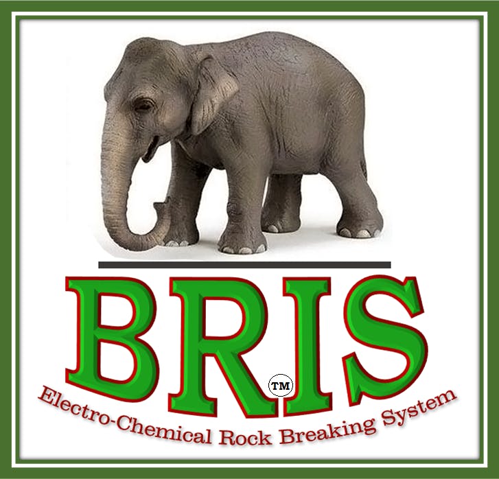 Logo of BRIS