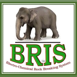 Logo of BRIS