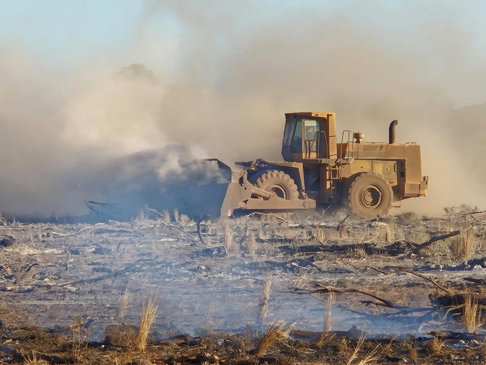 Logo of Murray River Firewood