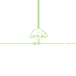 Logo of South Coast Landscapes
