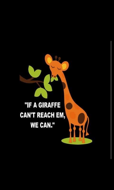 Logo of LOPNDROP TREE SERVICES