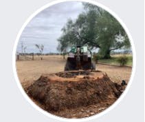 Logo of Riverina Tree Fellas