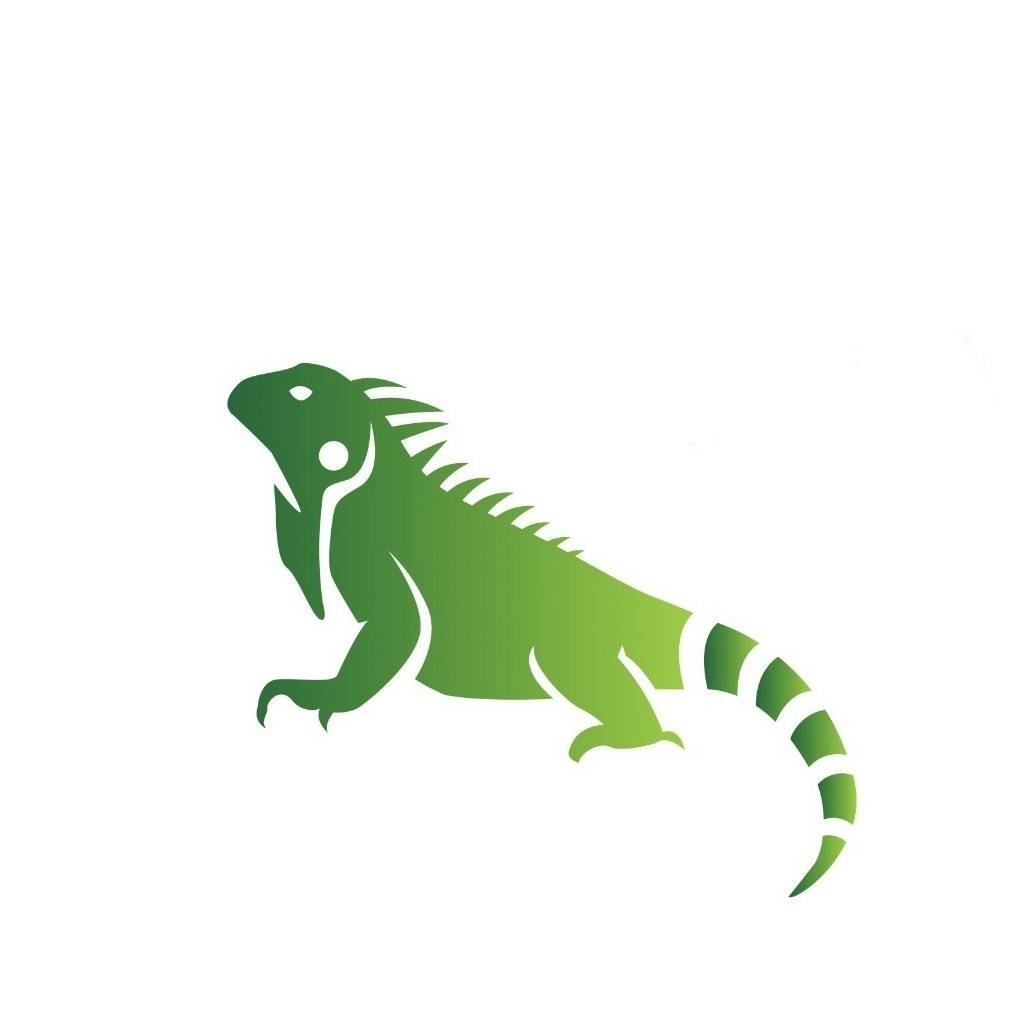 Logo of DC Air Australia Pty Ltd