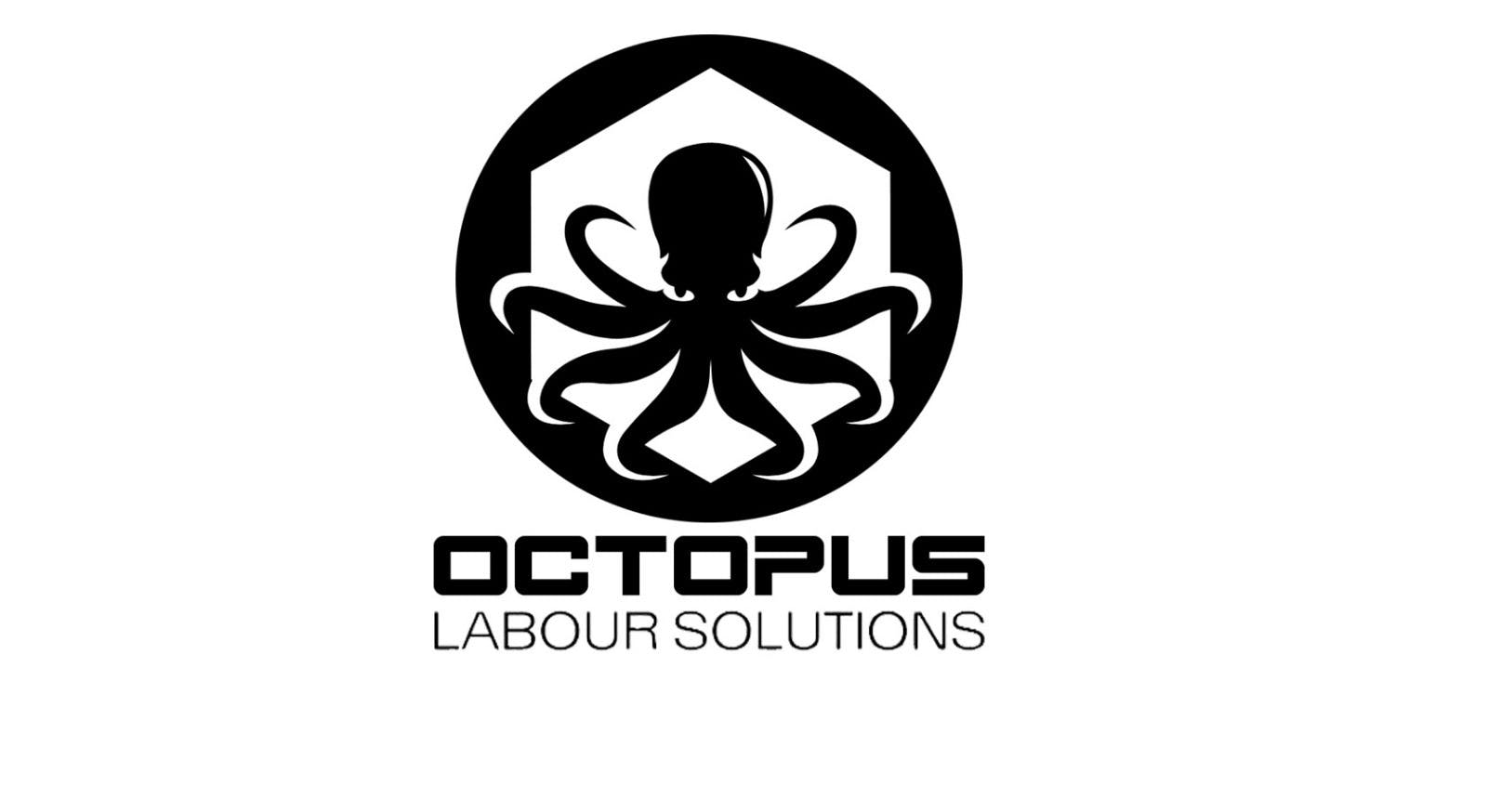 Logo of Octopus Labour