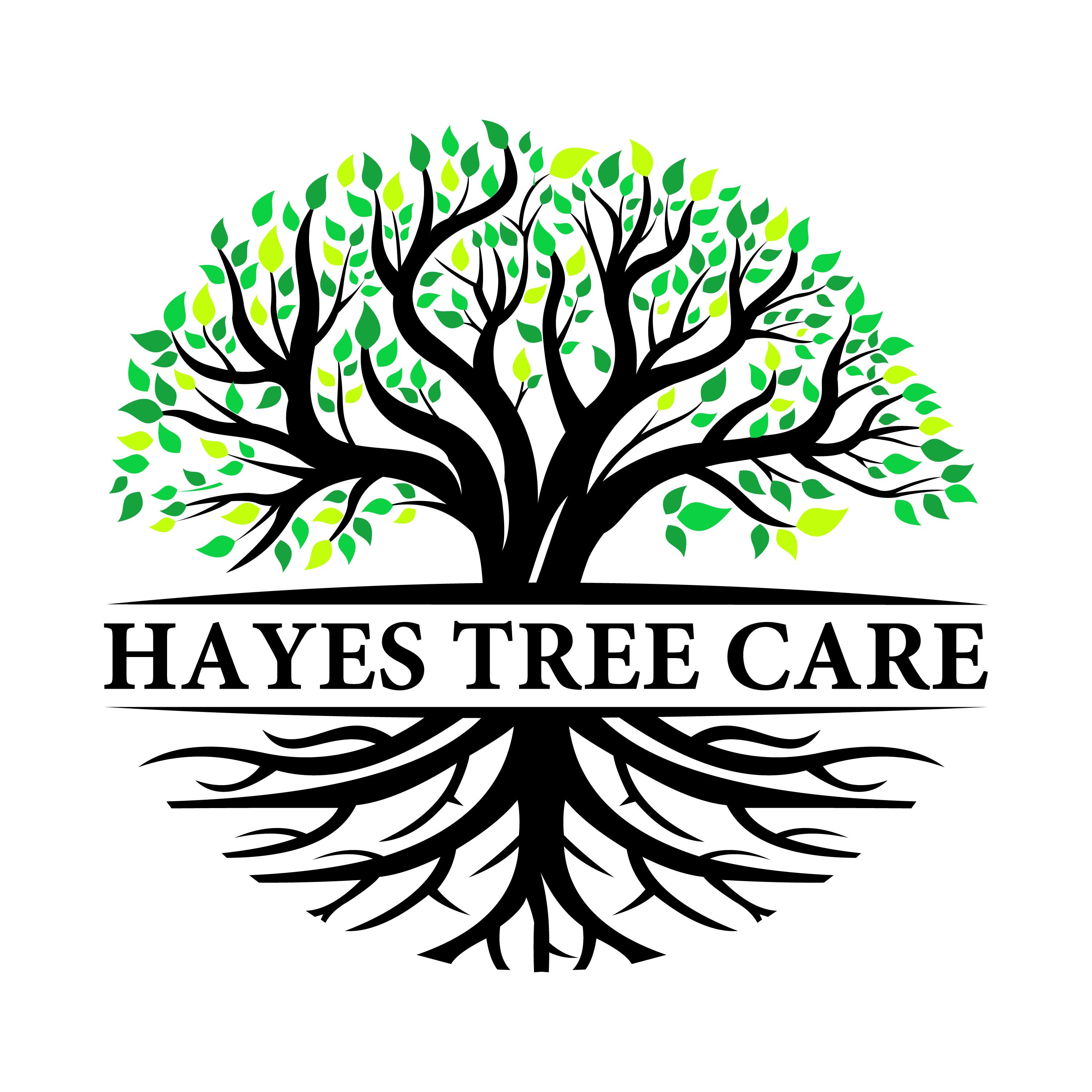 Logo of Hayes Tree Care PTY LTD