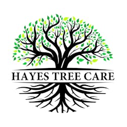 Logo of Hayes Tree Care PTY LTD