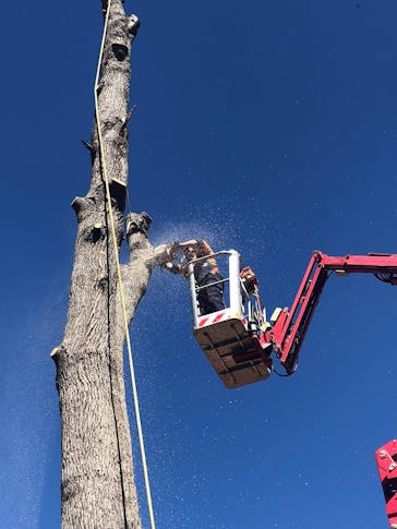 East Coast Vegetation Management Pty Ltd featured image