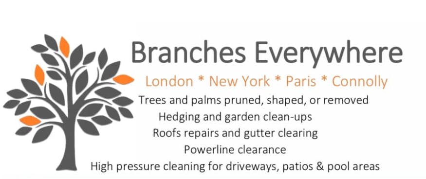 Logo of Branches Everywhere