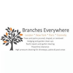 Logo of Branches Everywhere