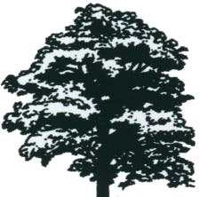 Logo of Lamond Landscaping & Horticultural Services