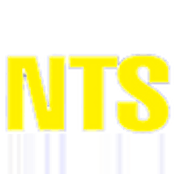 Logo of NT Scaffolds P/L