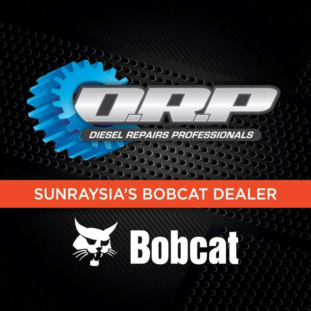 Logo of Diesel Repairs Professionals