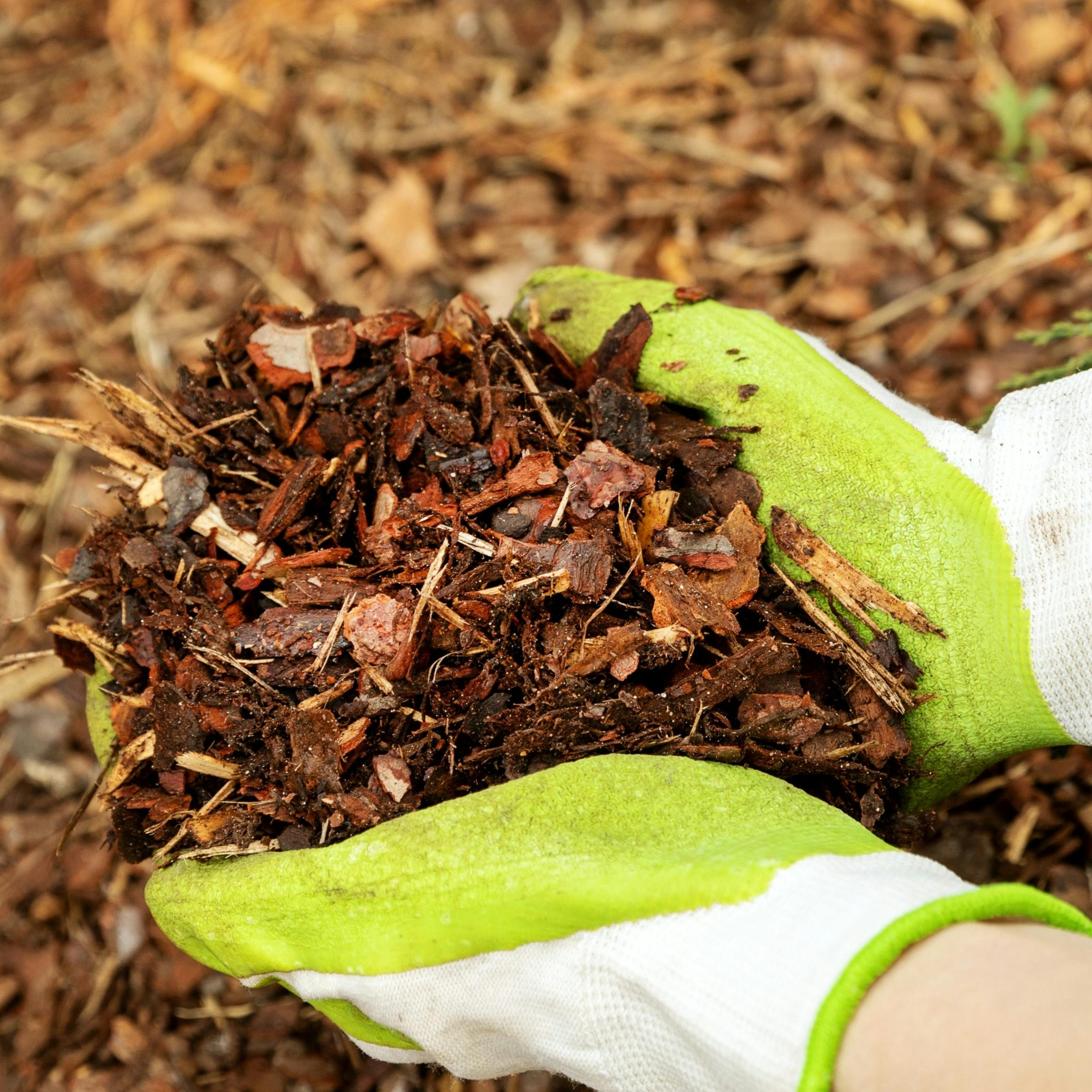 Logo of John S Complete Gardening Services