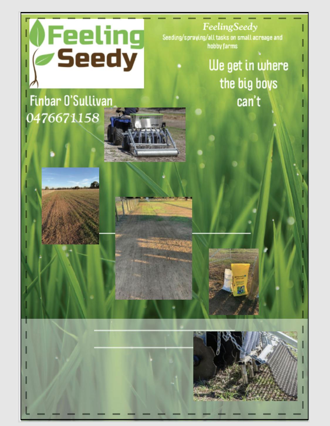 Logo of FeelingSeedy