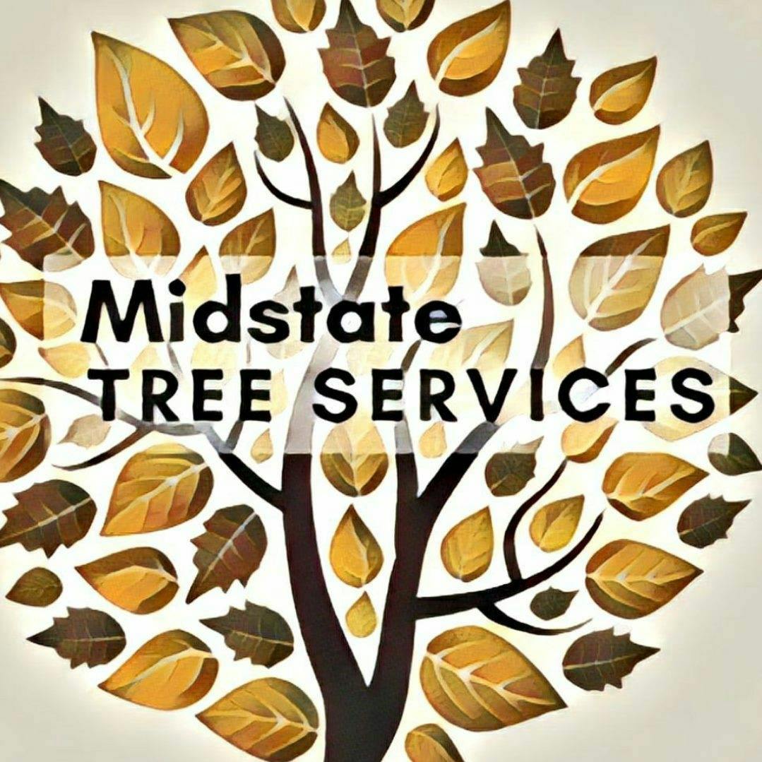 Logo of Midstate Tree Services