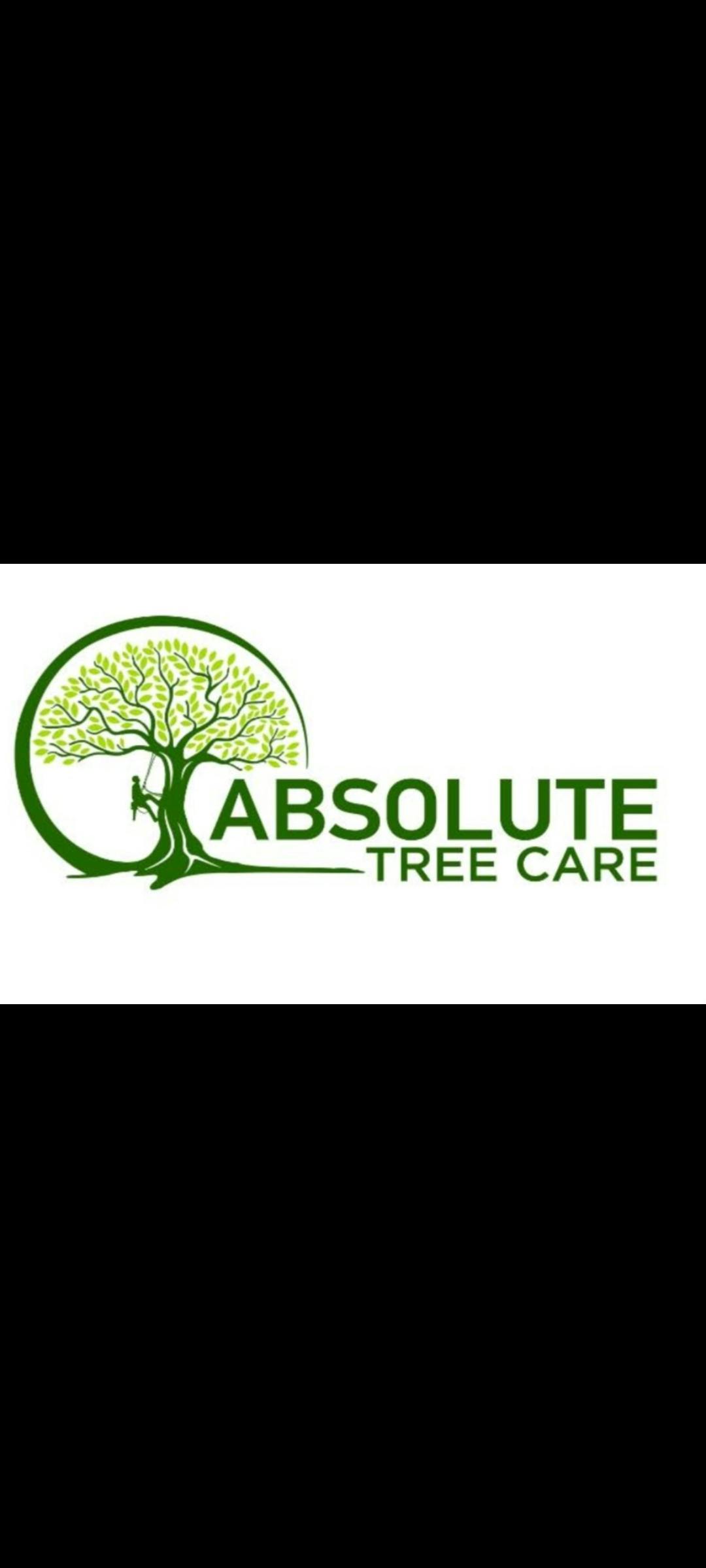 Logo of Absolute Tree Care