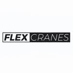 Logo of Flex Cranes
