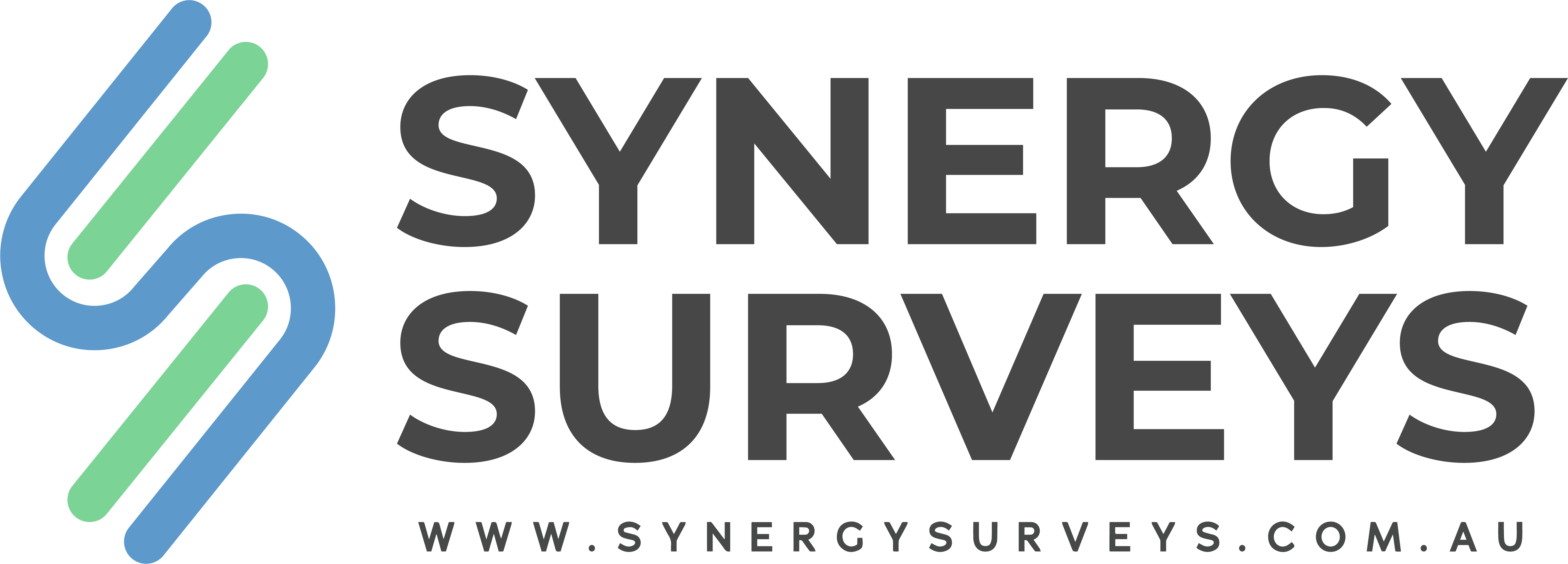 Logo of Synergy Surveys