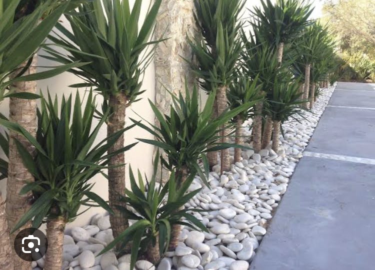 Logo of Jays outdoors