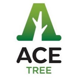 Logo of Ace Tree Management