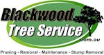 Logo of Blackwood Tree Service