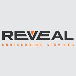 Logo of Reveal Underground Services