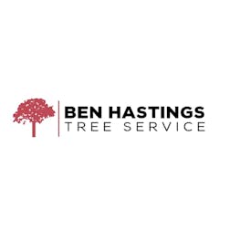 Logo of Ben Hastings Tree Service Pty Ltd