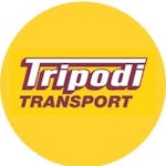 Logo of Tripodi Transport