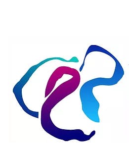 Logo of Baba Marda Road Services