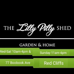 Logo of The Lilly Pilly Shed
