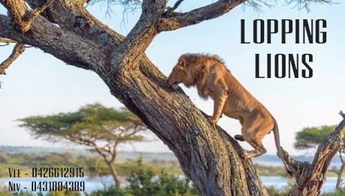 Logo of Looping Lions