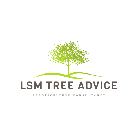 Logo of LSM Tree Advice