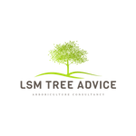Logo of LSM Tree Advice