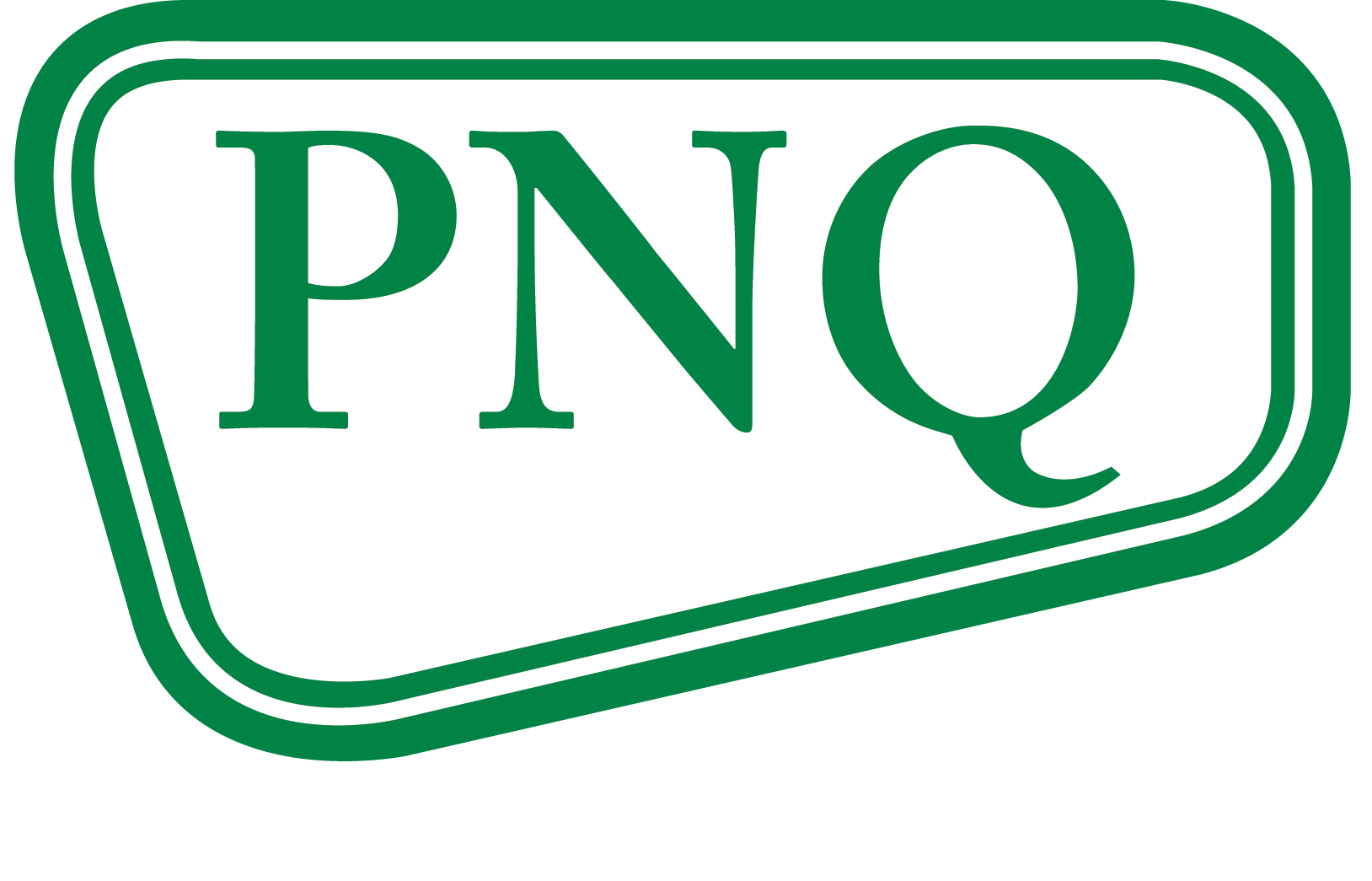 Logo of Pioneer North Queensland Pty Ltd