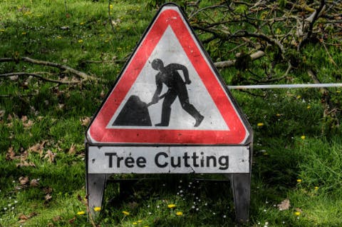 Logo of Complete Trees & Gardens