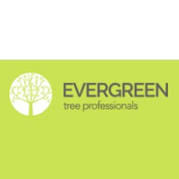Logo of Evergreen Tree Professionals