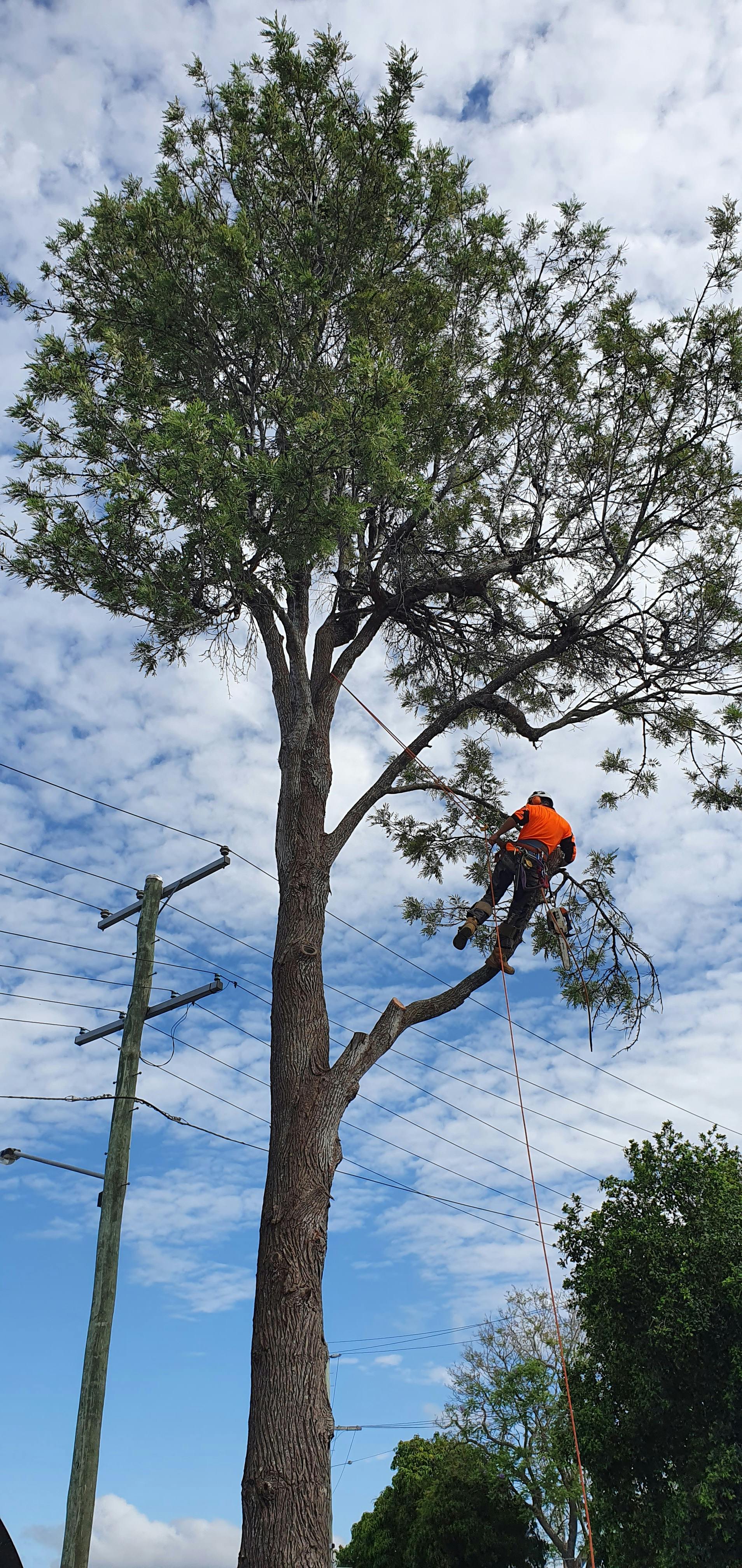 Logo of Johns Trade Services